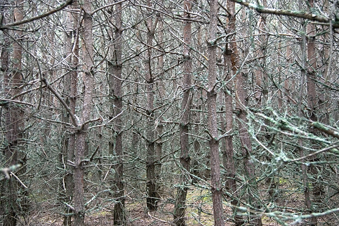 Parc de Sculpture Le Besset, France