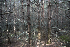 Parc de Sculpture Le Besset, France