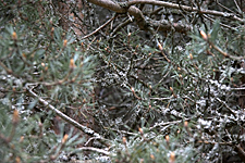 Parc de Sculpture Le Besset, France
