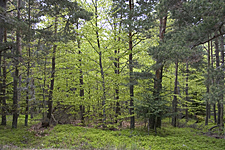 Parc de Sculpture Le Besset, France